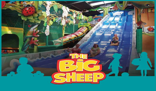The big sheep
